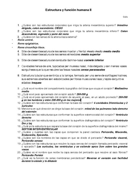 Estructura Y Funcion Corazon Estructura Y Funci N Humana Ii Gu A