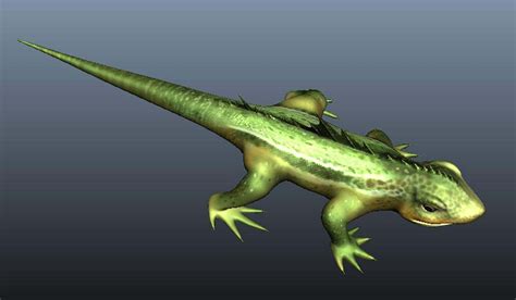 Lizard 3d Model By Nelsonevasco