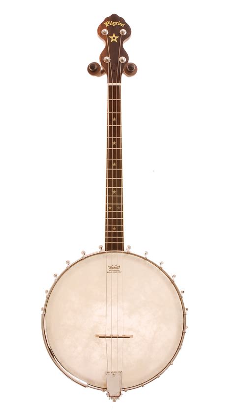 Pilgrim Vpb05t Short Scale Tenor Banjo Stringed Folk Instruments