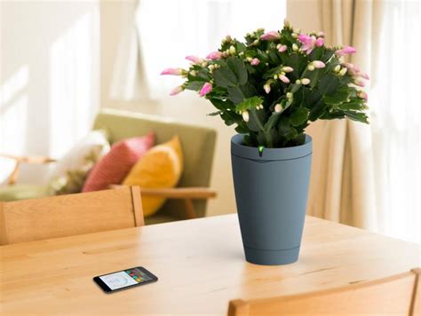 Parrot Smart Plant Watering Pot - Automatic Plant Waterer - Control It From Your Phone