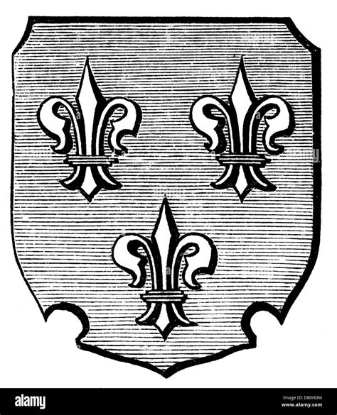 Heraldry Coat Of Arms Germany City Arms Wiesbaden Wood Engraving 1875 Additional Rights