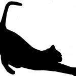 Cat stretching silhouette Meme Generator - Imgflip