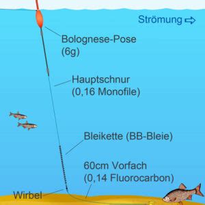 Feststellposen Montage Aufbau Anwendung Angeltipps Simfisch De