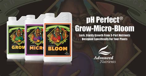 Advanced Nutrients Ph Perfect Grow Micro Y Bloom