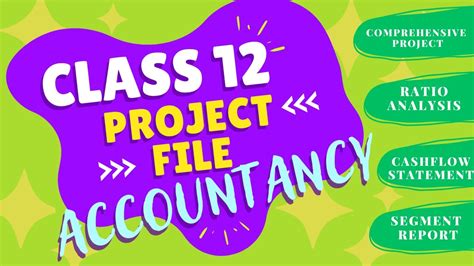 Accountancy Project File CLASS 12 Comprehensive Ratio Analysis