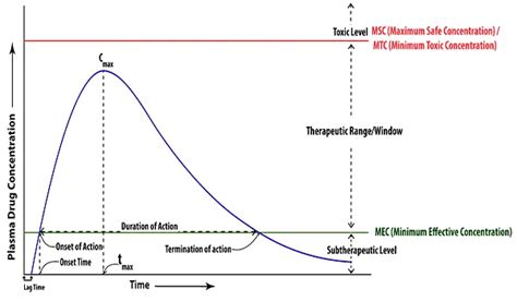 Plasma Level Time Curve Biopharmaceutics