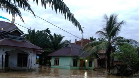 Banjir Rendam Sejumlah Desa Di Pesisir Selatan Sumbar Regional