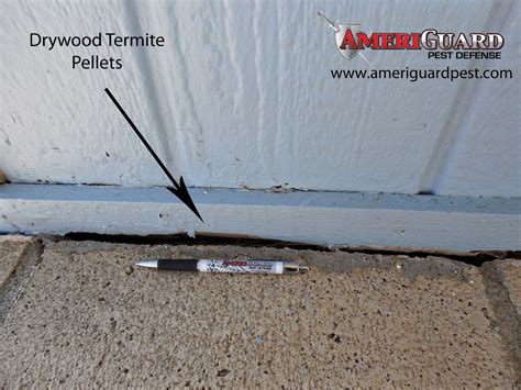 Pest, Termite, Gopher control in Temecula, Murrieta, Hemet, Moreno ...