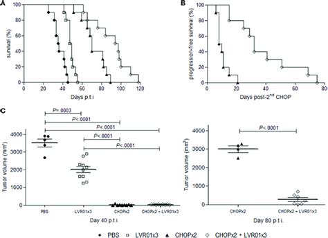 Survival Curves And Tumor Growth A Kaplan Meier Plot Of Mice