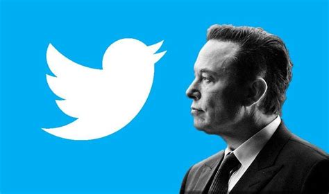 Twitters Blue Tick Service Disappoints Elon Musk Mc Starters Blog