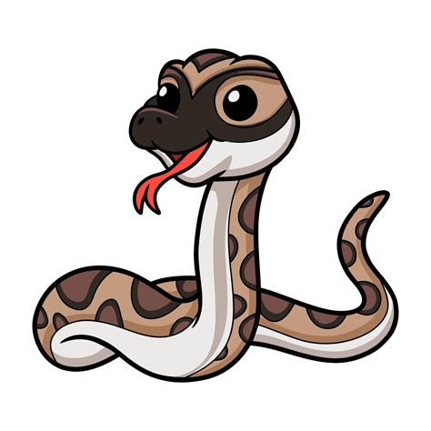 Cute python molurus bivittatus cartoon 20126758 Vector Art at Vecteezy