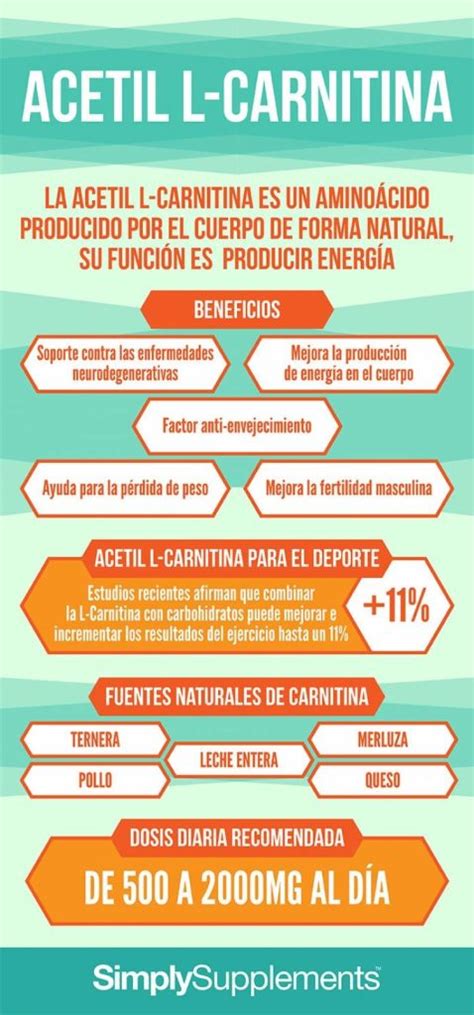 L Carnitina Que Es Fisiomorfosis