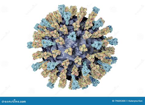 Measles virus illustration stock illustration. Illustration of ...