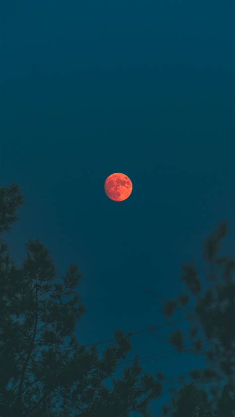 Blood Moon Photos, Download The BEST Free Blood Moon Stock Photos & HD ...