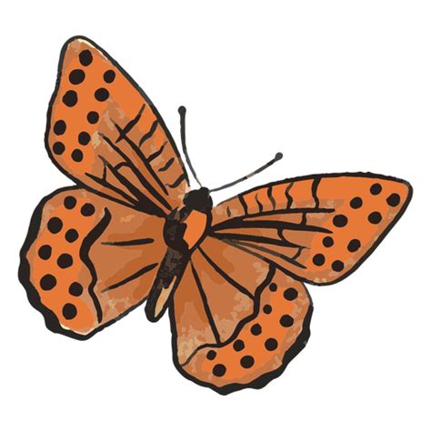 Diseño Png Y Svg De Mariposas Especies 3 Para Camisetas