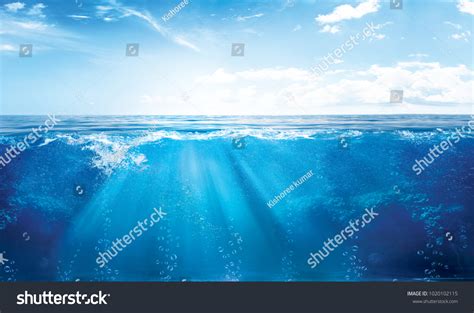 Aquatic Background Images Stock Photos D Objects