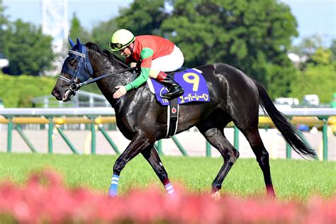 オークス馬ユーバーレーベンが引退 ビッグレッドファームグループで繁殖入り 左前屈腱炎のため 競馬ニュース・特集なら東スポ競馬