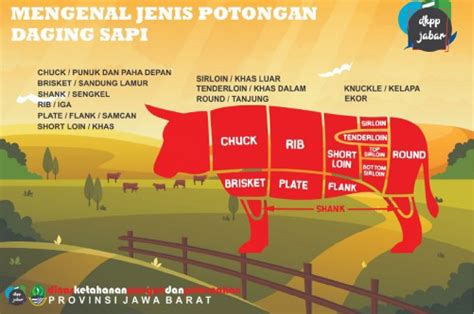 14 Jenis Potongan Daging Sapi Untuk Memasak Apa Itu Short Plate Dan