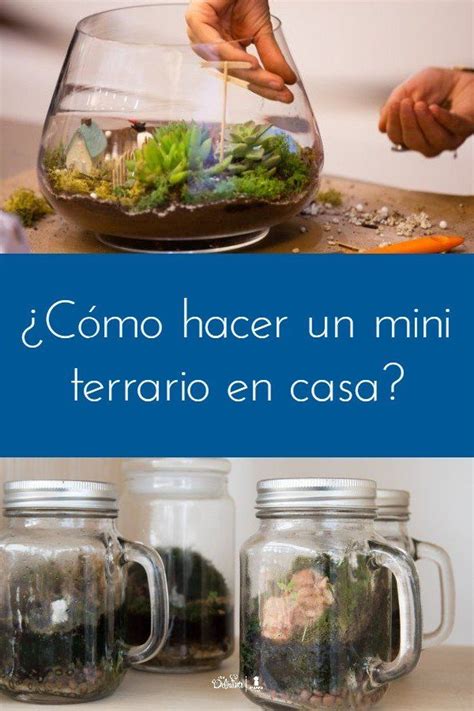 Cómo hacer un mini terrario en casa Terrarios Mini terrario