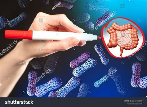 Anaerobic Bacteria Intestine Flora Intestinal Tract Stock Photo ...