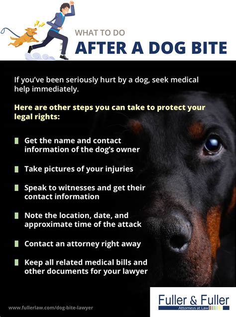 Washington Dog Bite Attorneys Fuller And Fuller Attorneys At Law