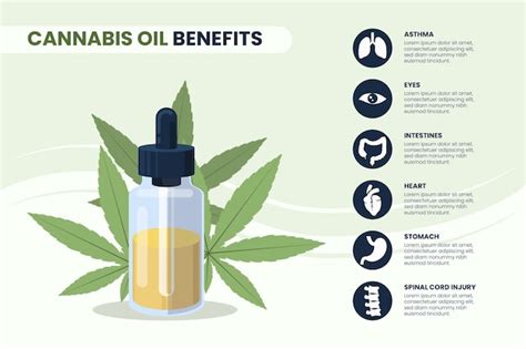 Free Vector Cannabis Oil Benefits Infographic