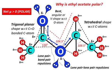 Is Ethyl Acetate Polar Or Nonpolar Polarity Of Ethyl Acetate