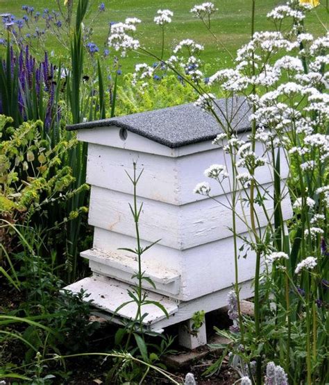 For The Bees Gardens With Pollinating Plants Remodelista