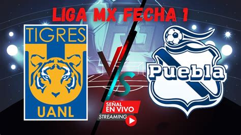 Fecha Tigres Vs Puebla En Vivo Partido Emocionante Hoy En La Liga