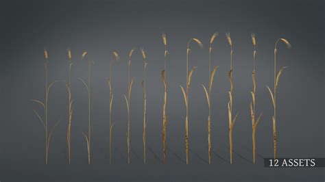 Artstation 3d Wheat Field Collection Vol01 Resources