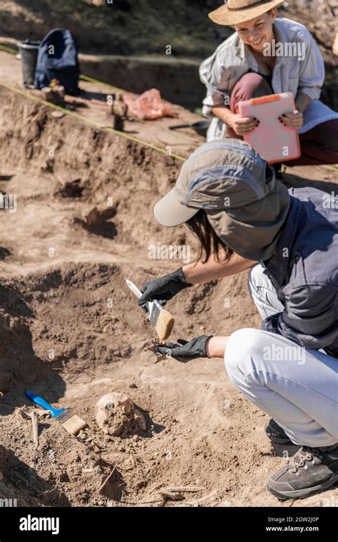 Archaeologist Woman Hi Res Stock Photography And Images Alamy