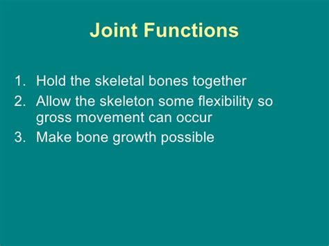 Types Of Joints And Their Functions