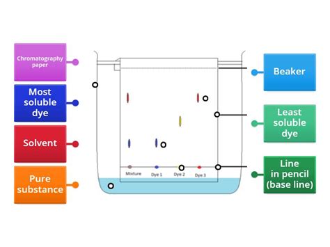 Chromatography Diagram Labelled Diagram