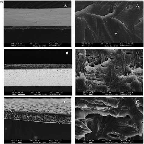 A Sem Graphs Cross Section Films Of F Hpmc A F Hpmc P O B