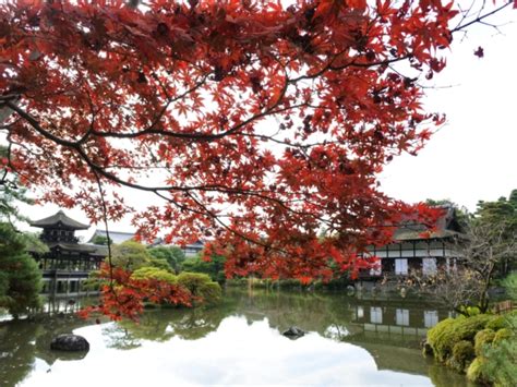 紅葉・平安神宮 京都観光研究所周辺名所アクセス地図写真