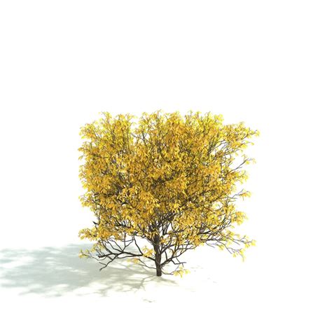 Plant 3d Models For Download Page 19