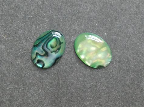 Pack X Mm Natural Paua Shell Cabochons Dyed Coated Seashell