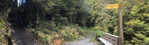 The Old Ghost Road Lyell Campsite To Lyell Saddle Hut Nelson Tasman