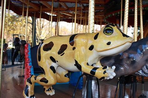 Photos The Zoos New Carousel Is One Wild Ride Smithsonian