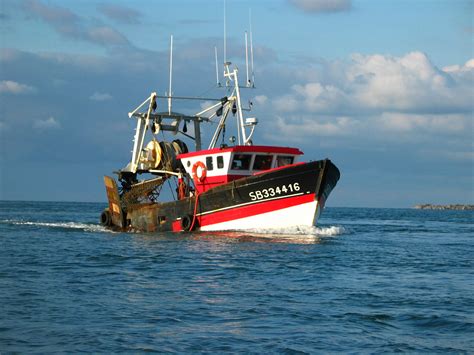 Filetrawler Wikimedia Commons