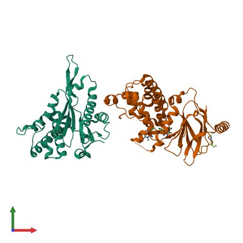 PDB 7fm8 Gallery Protein Data Bank In Europe PDBe EMBL EBI