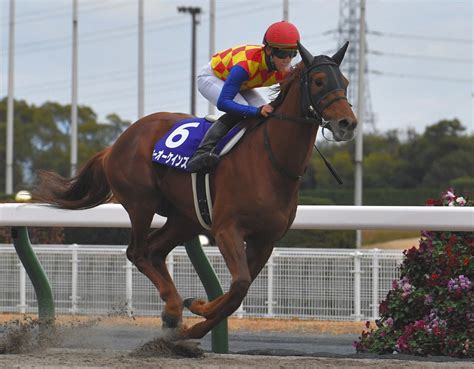 G1級3勝テーオーケインズが引退、種牡馬入り主戦の松山「子どもに乗れる日を楽しみに」チャンピオンズc4着がラストラン：中日スポーツ・東京中日スポーツ