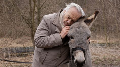 EO Cuántos burros usó Jerzy Skolimowski para su película nominada