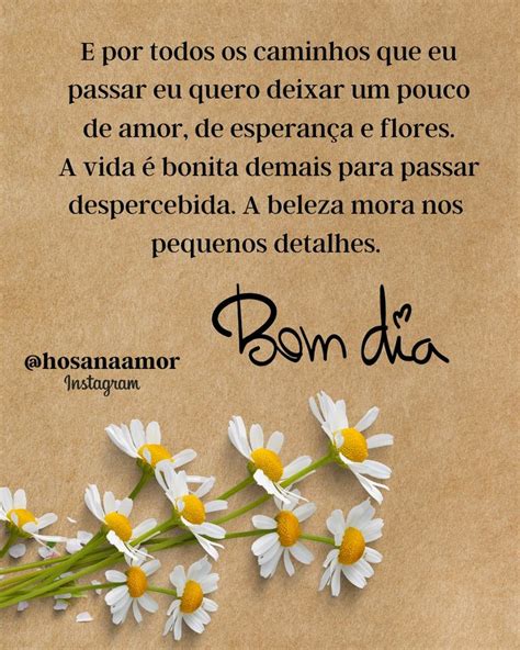 Pin De Rita De Cassia Ramos Em Bon Dia Frases Li O De Vida Frases