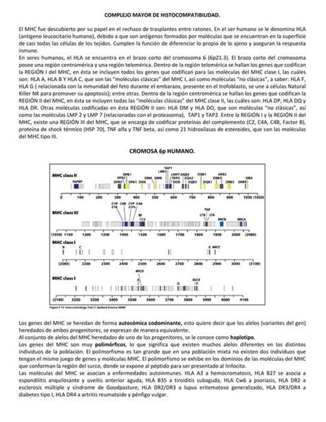 Complejo Mayor De Histocompatibilidad Iovanny Cruz Ojeda Udocz