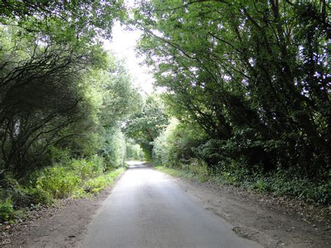 Heggatt Road Horstead Adrian S Pye Geograph Britain And Ireland