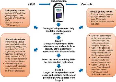 Figure From Germline Dna Variations In Breast Cancer Predisposition