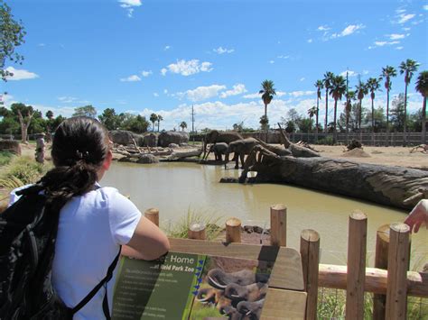 Reid Park Zoo Receives Accreditation | Reid Park Zoo