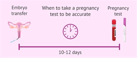 6 Days Post 5d Frozen Embryo Transfer Symptoms