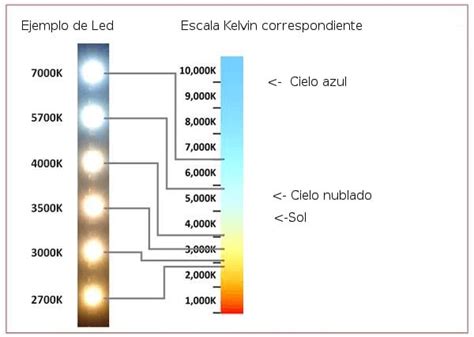 Exhibici N De Productos Luz C Lida O Fr A Marcela Seggiaro